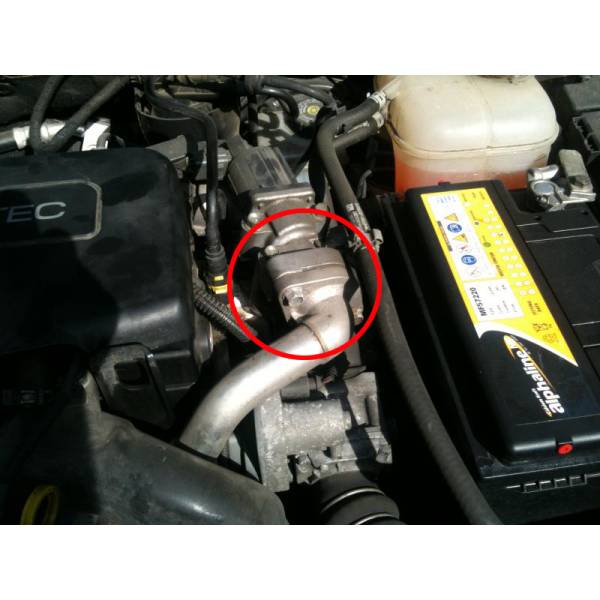 Plaque de suppression de la vanne EGR pour moteurs FORD