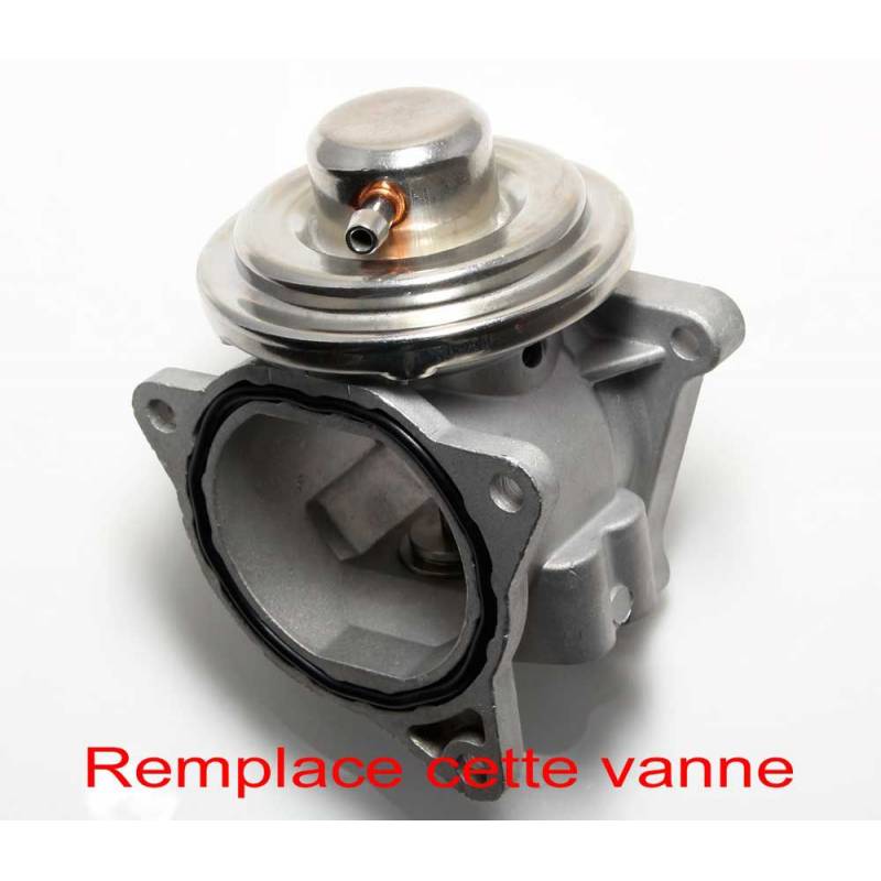 EGR valve removal kit VAG 1.9 / 2.0TDI.