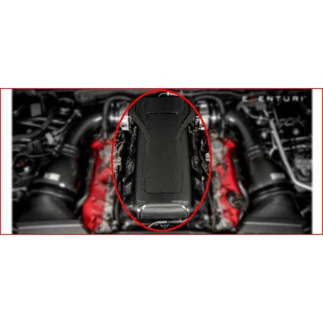 Slam panel Eventuri Carbone ou Kevlar pour Audi RS5