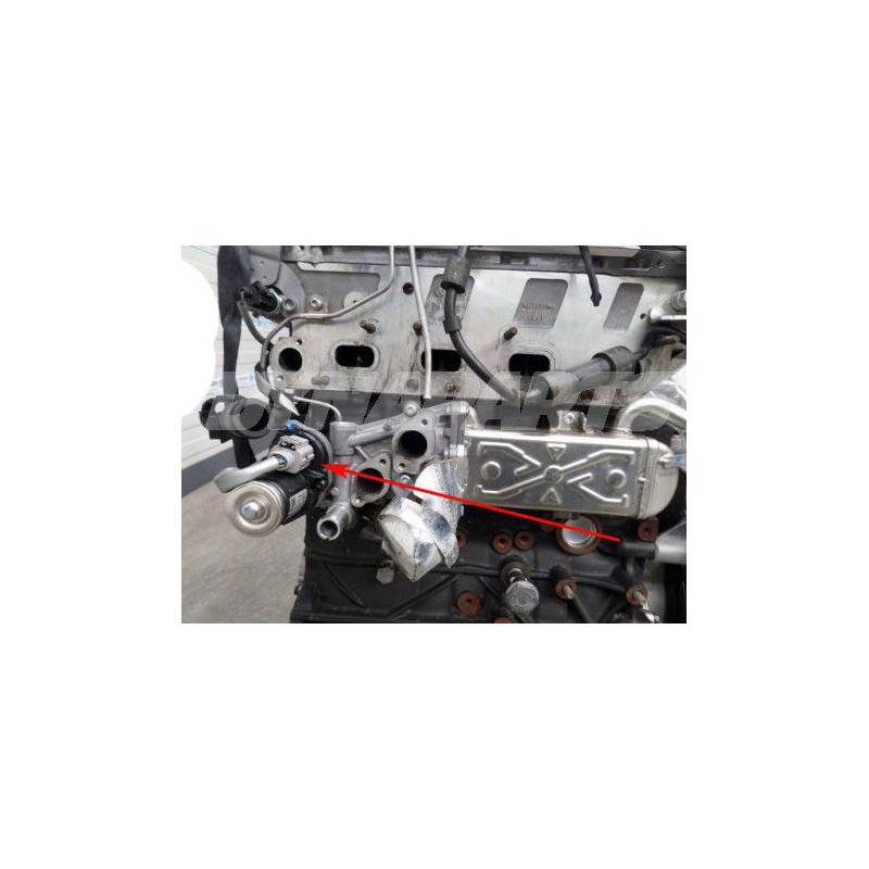 Kit suppression vanne EGR Moteur VAG 90-115cv Forge motorsport pour VW  Golf/Jetta/Bora MK4 Diesel