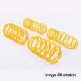 short spring kit for BMW 3 Series
