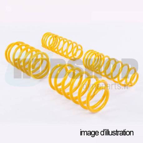 kit springs for BMW 3 Series Gran Turismo