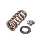 Kit valve springs APR MS100089