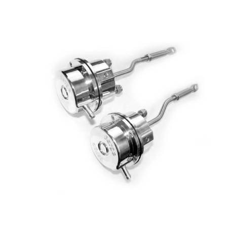Wastegate Lotus FMACLV8