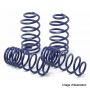 Short springs H&R for BMW 5 Series (E34) with corrector