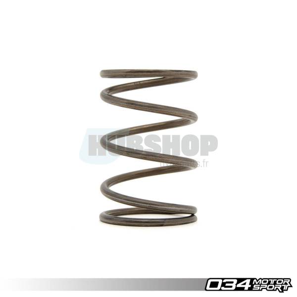 WASTEGATE SPRING,1.9 BARFACTO