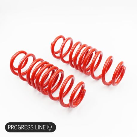 Dynaparts Lowering FR/RE (mm) Springs for Volkswagen TRANSPORTER T4 T4 (2WD+4WD) NA/50