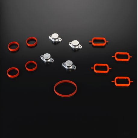 22mm intake manifold Flap delete kit BMW 2.0D