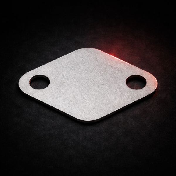 EGR blanking plate 1.9 / 2.4 JTD