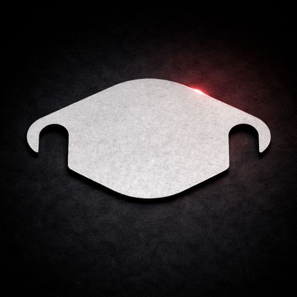 EGR blanking plate for Peugeot 2.0HDI