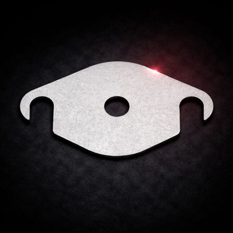 EGR blanking plate 1.8 TDCI Duratorq