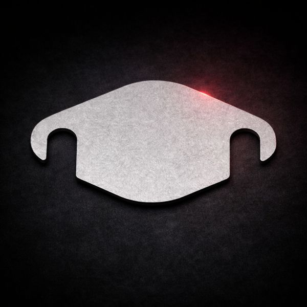 Plaque de suppression vanne EGR 2.0 HDi/TDCi/JTD