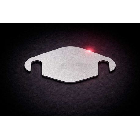 EGR blanking plate 1.9Dci