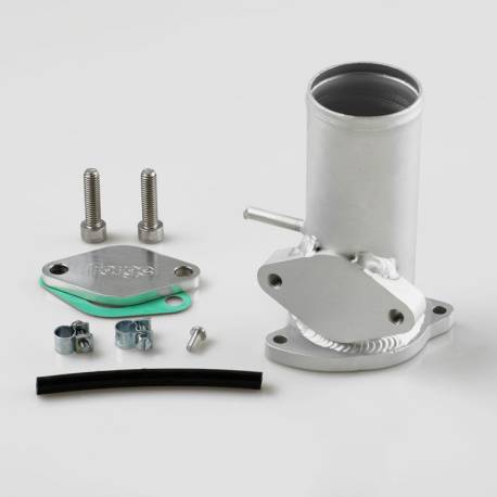 EGR Forge VAG vane removal kit 90-115cv FMEGRRPS