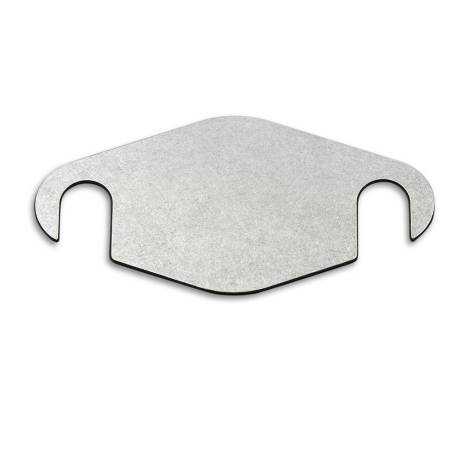 EGR blanking plate 1.9Dci