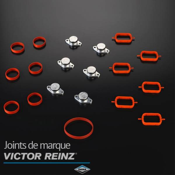 Kit de suppression Clapets d'admission BMW 3.0D et 2.5D