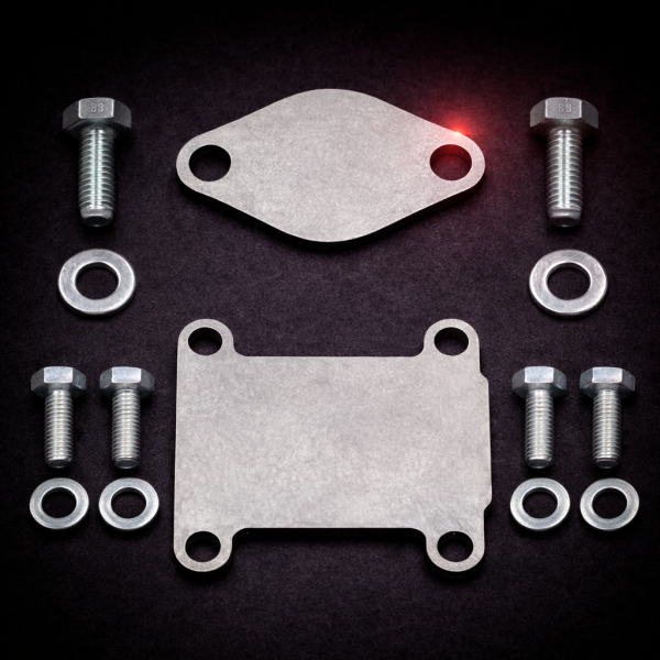 Placas de anulación de válvula EGR 2.4, 1.9 JTDM / 1.9 CDTI 16V