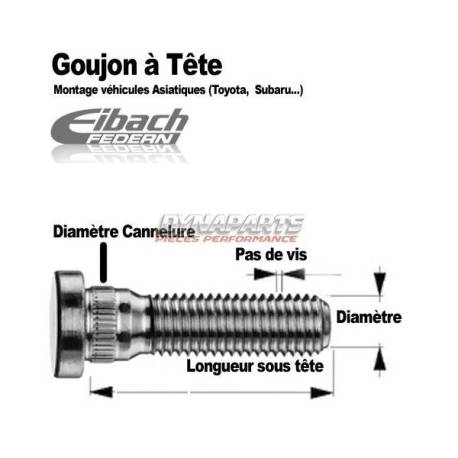 Goujons à tête plate Eibach M14x2
