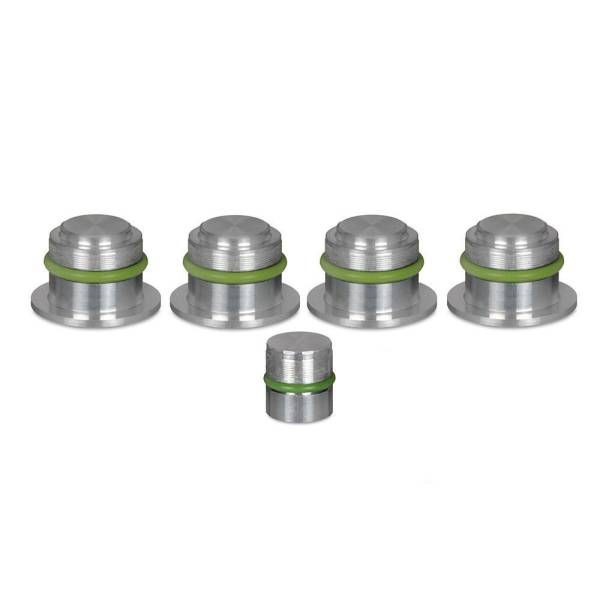 Bouchons 15MM clapets admission Fiat Opel 1.9 JTDM / 1.9 CDTI 16V