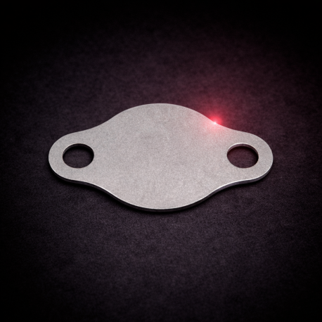 EGR blanking plate for TOYOTA