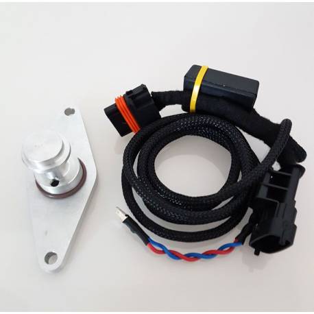 Kit Complet EGR Opel Saab 2.0 Di / DTI / 2.2 TID