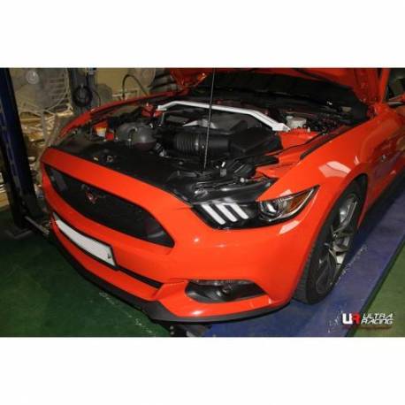 Engine compatibility UR Ford Mustang 2015+