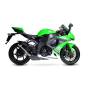RP1-GP silencer Scorpion Kawasaki Ninja ZX-10R 2008 - 2010