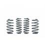 Molle ribassate Racingline per VW Polo AW VWR31P2GT