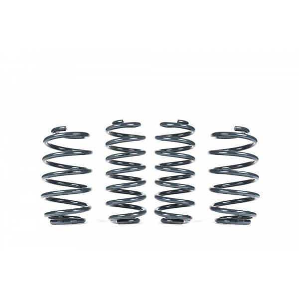 Molle ribassate Racingline per VW Polo AW VWR31P2GT