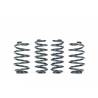 Short springs Racingline for VW Polo AW VWR31P2GT