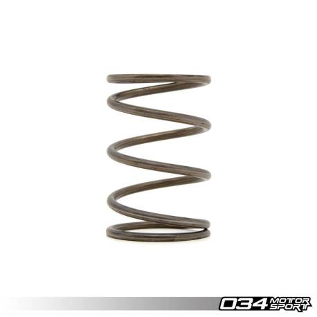 Molla Wastegate 034Motorsport