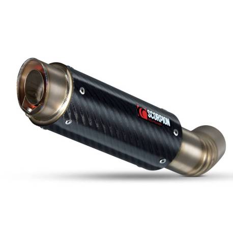 RP1-GP silencer Scorpion BMW S1000 R / S1000 RR 2009 - 2016