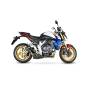 RP1-GP silencer Scorpion Honda CB1000 R 2008 - 2017