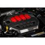 Coprimotore in carbonio APR per Golf 8 / S3 8Y / Cupra 4 / Octavia 4