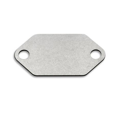 Plaque de suppression vanne EGR 1.7 CDI