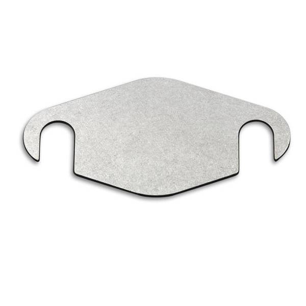 Piastra eliminazione valvola EGR 1.9Dci