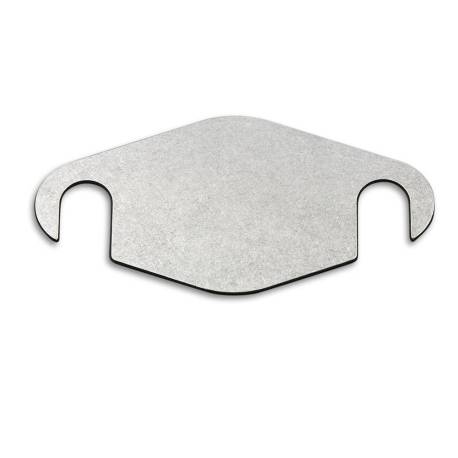 Plaque de suppression vanne EGR 1.9Dci