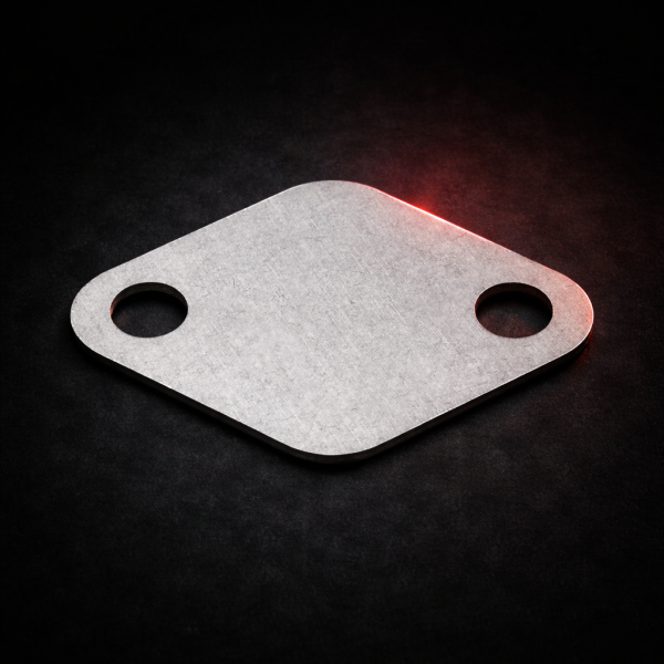 Plaque de suppression vanne EGR 1.9Dci