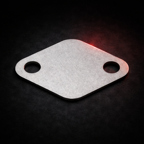 Placa de anulación válvula EGR 1.9Dci