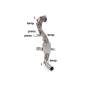 Replacement FAP/DeFap Ragazzon Fiat 500 (07/2012 - Today)