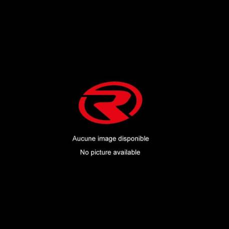 Décatalyseur Ragazzon pour AUDI RS3 (8V) (07/2015 - Aujourd'hui) 50.0906.80
