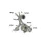 Remplacement FAP Ragazzon pour AUDI A3 (8V) (04/2012 - Aujourd'hui) 55.0435.00