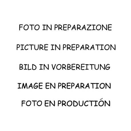 Replacement FAP Ragazzon for AUDI A4 Quattro B8 (8K2) (11/2007 - Today) 54.0258.01