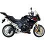 Silencer Factory oval Scorpion Triumph Tiger 1050 2007 - 2012
