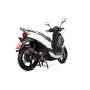 Línea de escape completa Serket "Parallel" Scorpion Peugeot Tweet 125 2010 - 2017