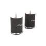 RacingLine VWR119042 Air Filters for Audi R8/R8 Spyder V8 4.2