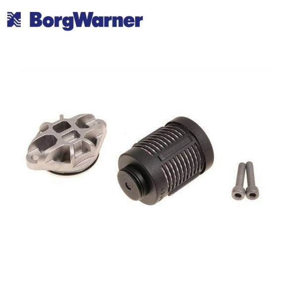 4th generation FORD rear axle filter Borgwarner 9V4N-4A319-AA
