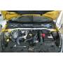 Engine compatibility UR Renault Clio RS Mk4 13+