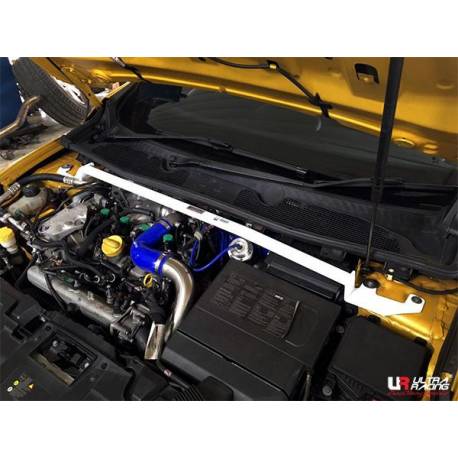 Engine compatibility UR Renault Megane III RS