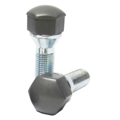 Cache Visserie Gris Dynaparts pour vis à clé de 17